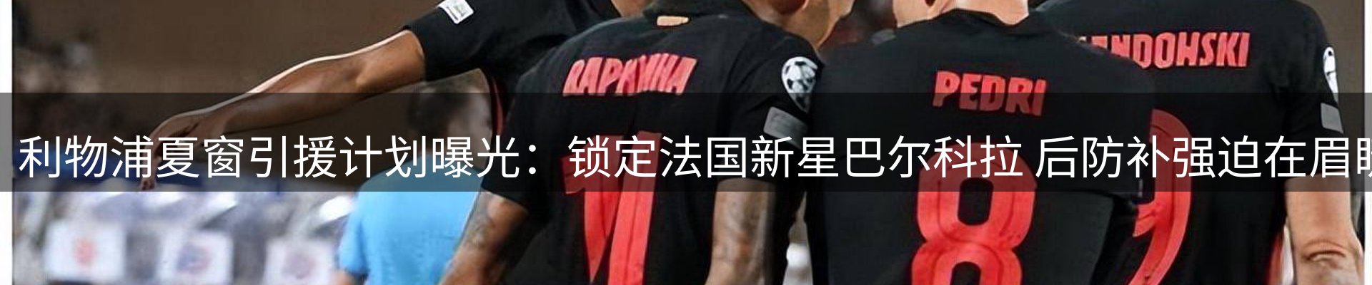 品牌资讯