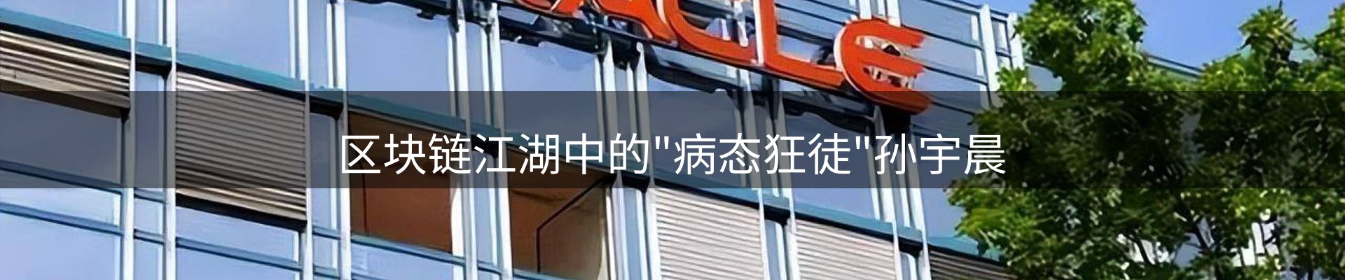 公司播报