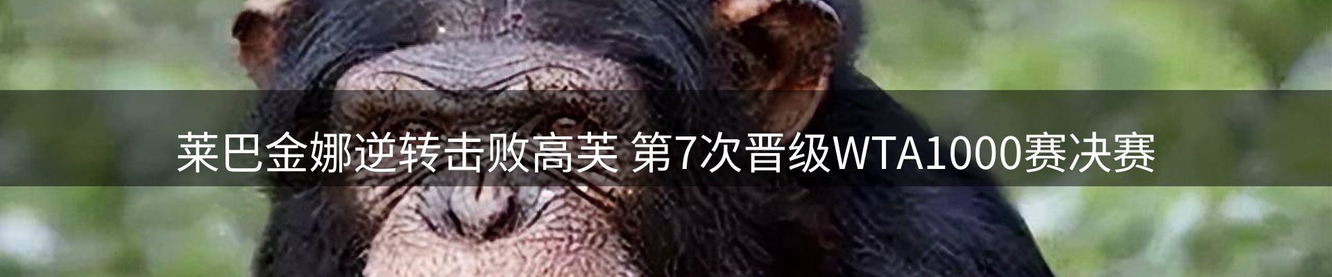 品牌资讯