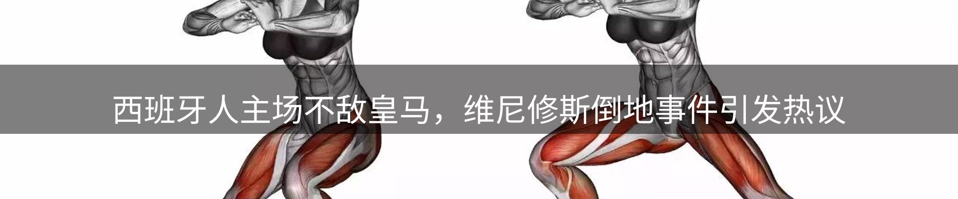 公司播报