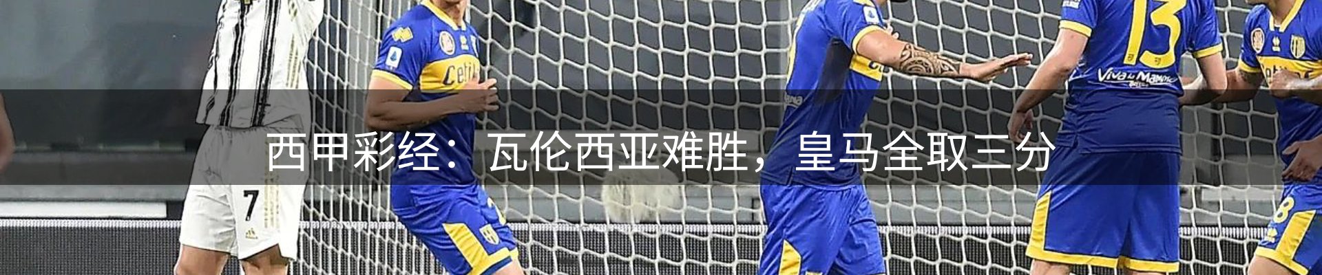 公司播报