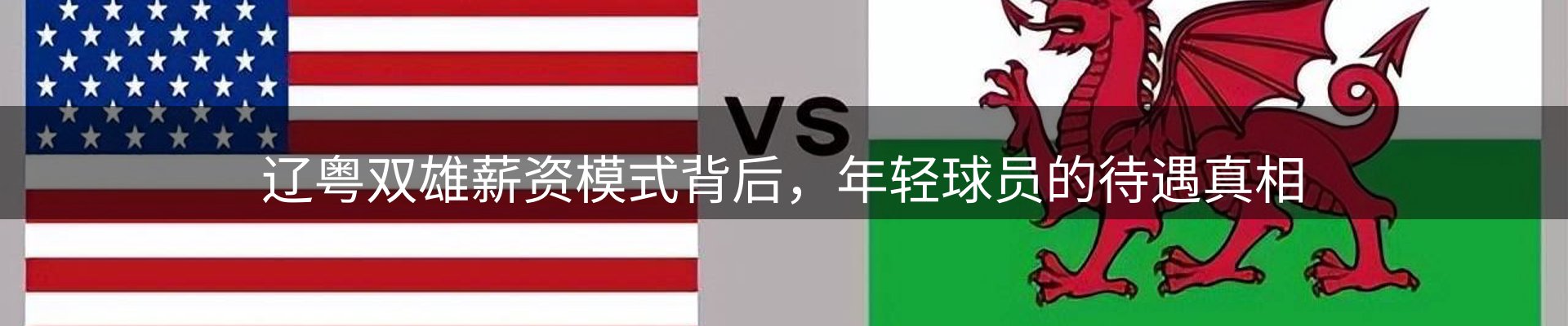 公司播报