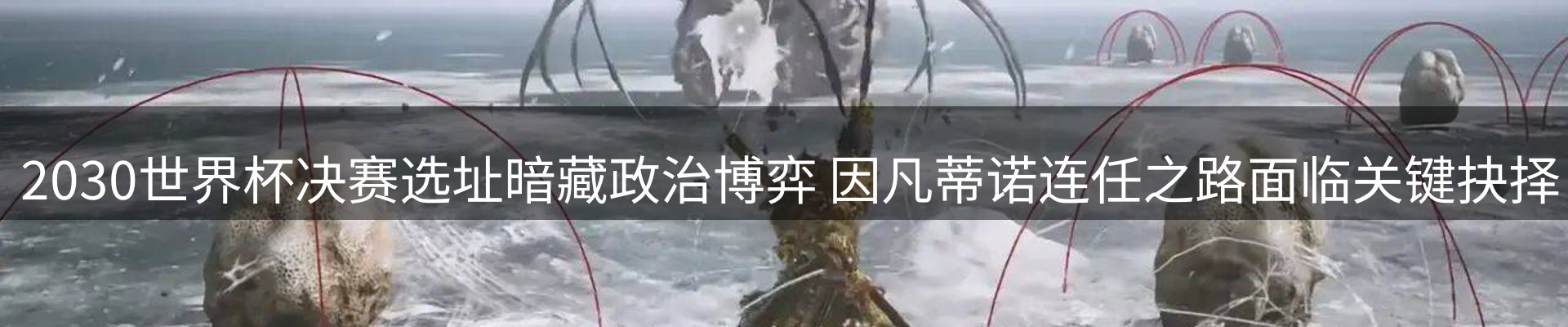 品牌资讯