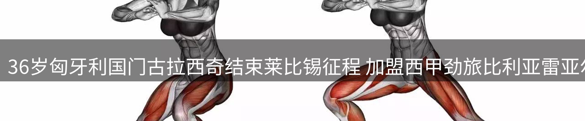 品牌资讯