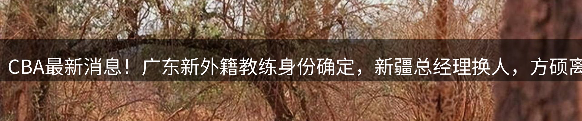 品牌资讯